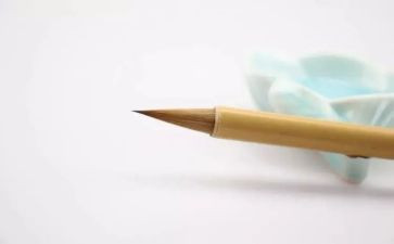 难忘那句话作文8篇