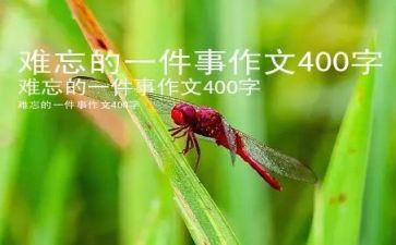 我难忘的一件事作文通用7篇
