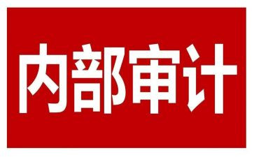 局年度内审工作计划5篇