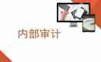 乡内审工作计划6篇