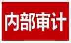 局年度内审工作计划5篇