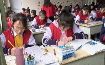 小学五六年级体育教学工作计划8篇