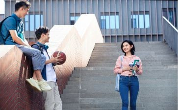 2024-2024学年少先队工作总结8篇