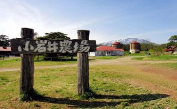 农场活动教案8篇