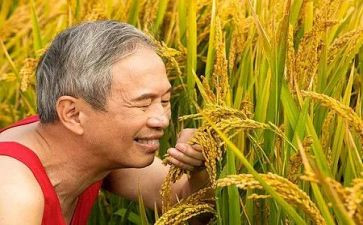小农夫的读后感7篇
