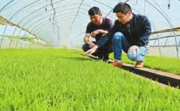 农技推工作计划5篇