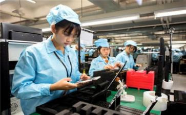 女工工作计划5篇