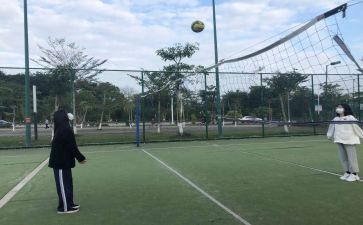 女排的小作文推荐7篇