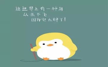 我胖了作文6篇