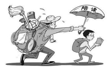 高中陪读后感优质8篇