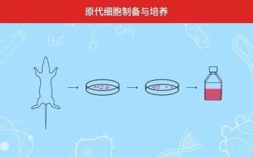村三培养工作计划精选6篇