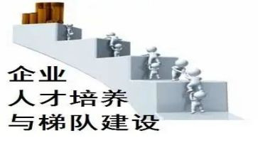 培养期工作总结优秀5篇