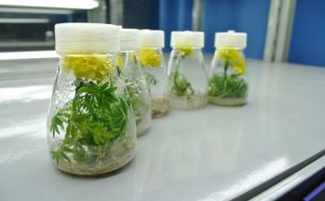 培养期工作总结优质7篇
