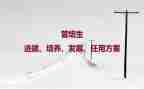 培养孩子的演讲稿5篇