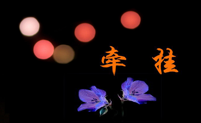 关于牵挂的作文推荐6篇