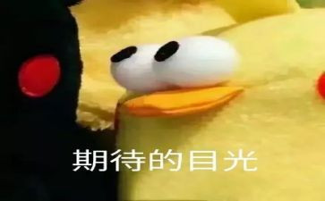 我期待作文600字精选8篇