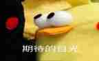 我期待作文600字精选8篇