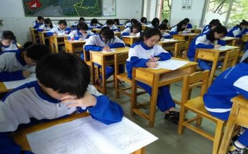 2023学生个人期末总结精选5篇