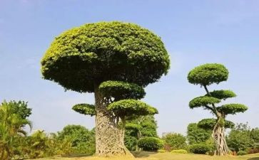 青号每月工作计划6篇