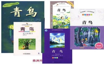 青鸟有读后感7篇