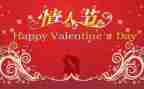 情人节的作文300字6篇