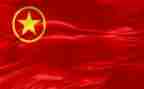 中国共青团历史回顾心得体会8篇