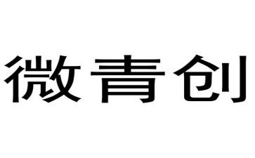 青微工作室心得体会6篇