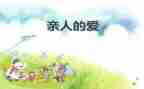 为亲人作文400字5篇