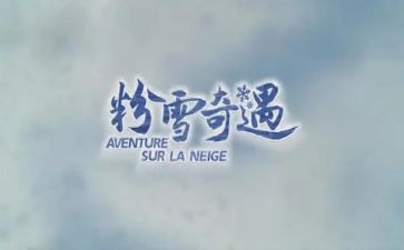 木偶奇奇遇记读后感7篇