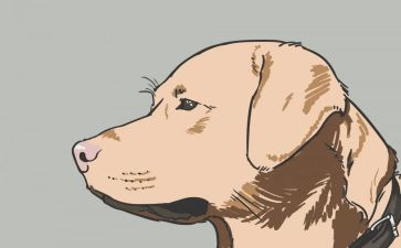 警犬来啦读后感7篇