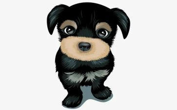 “双面猎犬”的读后感6篇