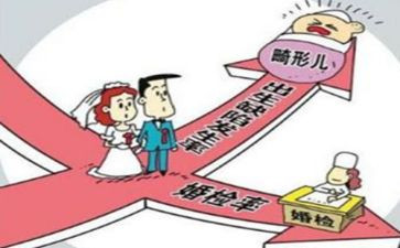 2024年出生缺陷宣传活动总结6篇