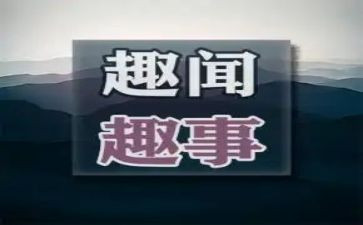 作文国庆趣事600字7篇