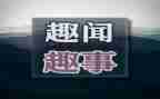 作文国庆趣事600字7篇