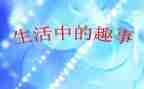 假期趣事作文最新5篇