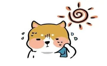 热爱自然保护自然演讲稿6篇
