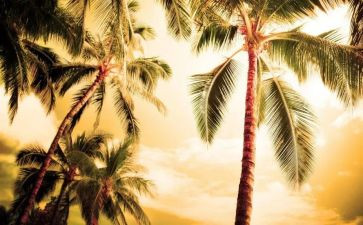 夏天天气热的作文6篇