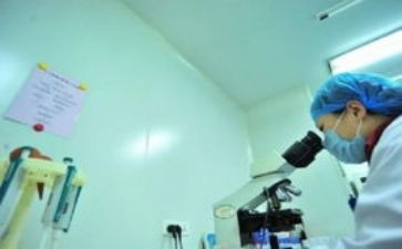 生活部个人工作总结范文5篇