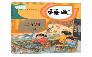 个人教学总结总结模板6篇