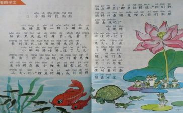 六年级教师个人教学工作总结6篇