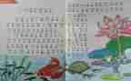 六年级教师个人教学工作总结6篇