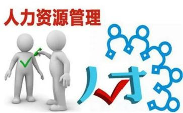 人力资源个人工作心得体会5篇