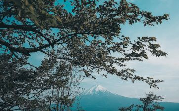 最日本读后感7篇