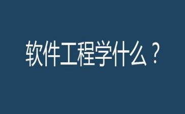 软件工程师个人工作总结6篇