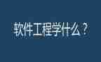 软件工程师个人工作总结6篇