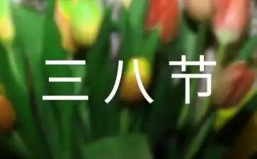 三八节妇女活动方案8篇