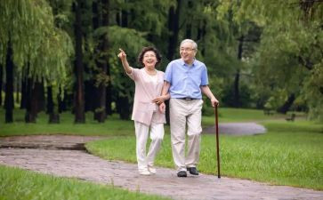 读散步的读后感5篇