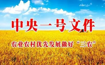 村三农工作心得体会5篇