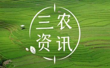对三农工作的心得体会8篇