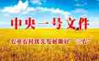 村三农工作心得体会5篇